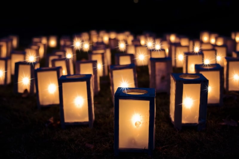 Fairy Lights in Garden